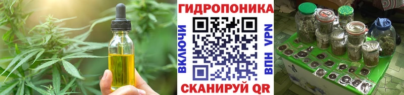 Купить  Новоалександровск  Canna-Cookies конопля 