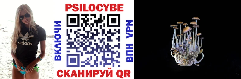 Галлюциногенные грибы ЛСД  Купить где  Новоалександровск 